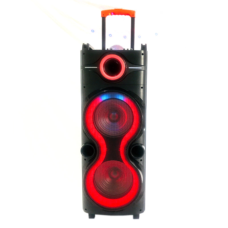 2X10"multifunction trolley speaker Portable Party System Speaker home Audio with Radio Remote LED Light