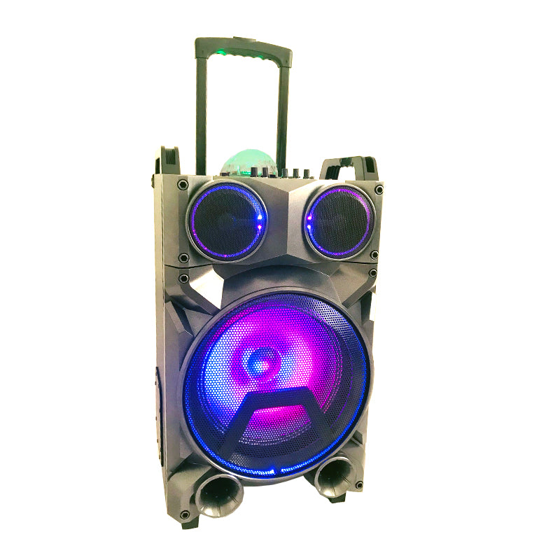 1X12" Outdoor Party DJ Waterproof Speaker