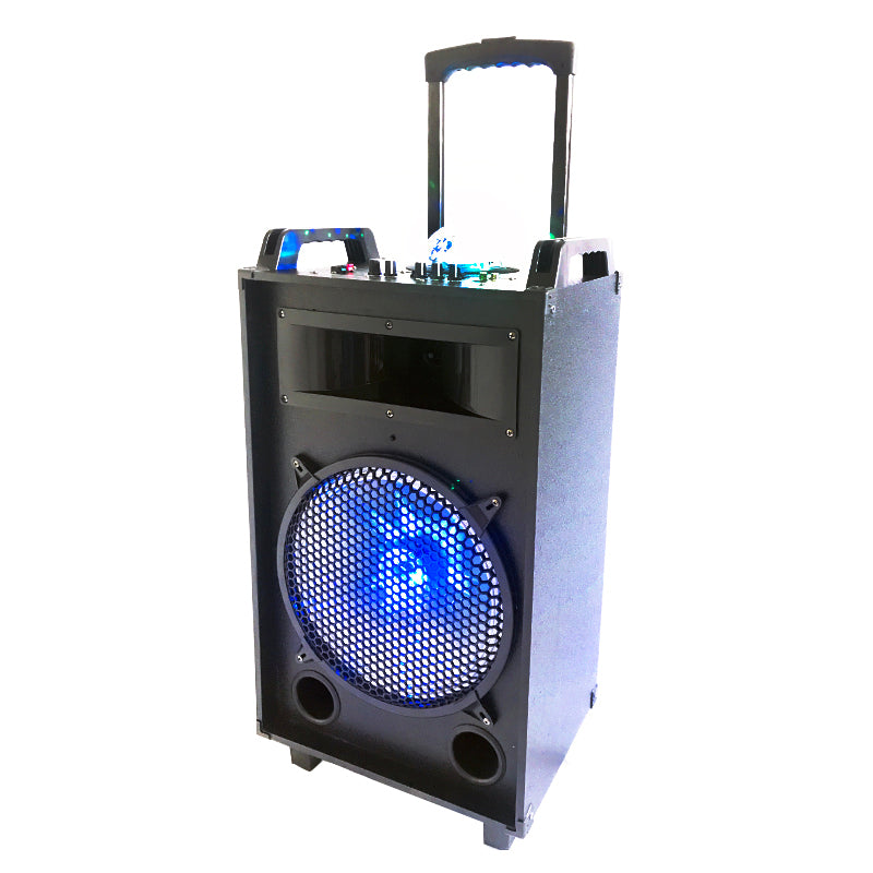 1X12" fashionable karaoke party loudspeaker with LED colorful flashing light