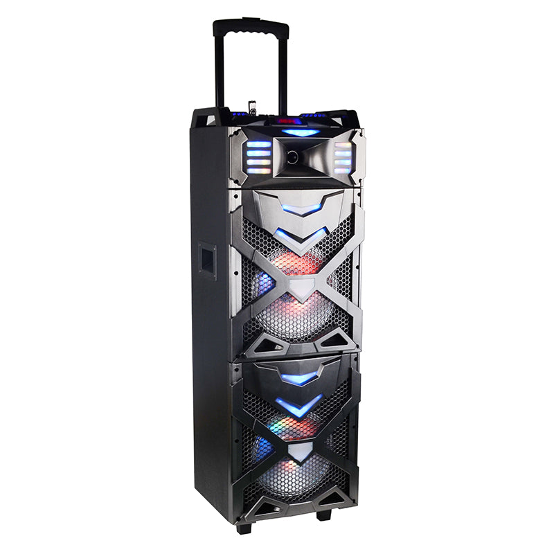 2×10"Hot High Power  dj bass customizable karaoke speaker