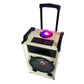 1X12" outdoor portable wireless bass loud-speaker