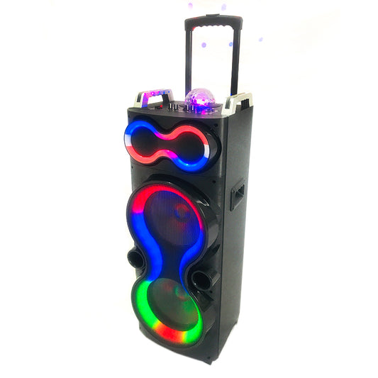 2X10"Outdoor Speaker Home Party Cart Audio DJ speaker with Colorful Lights