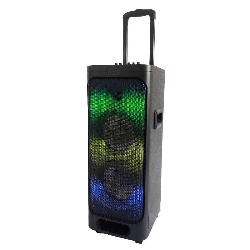 2X8" multifunction trolley speaker DJ party super sound speaker with fm