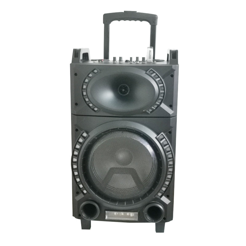 1X10" Trolley Amplifier Bluetooth Subwoofer Speaker