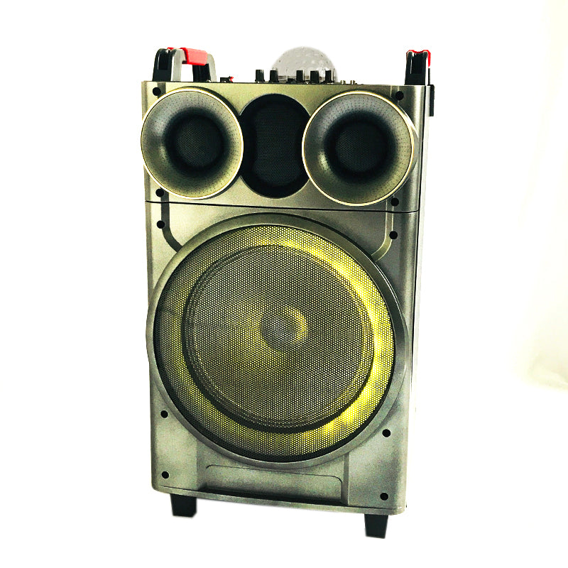 1X12" Outdoor Party Instrument Speaker with Microphone