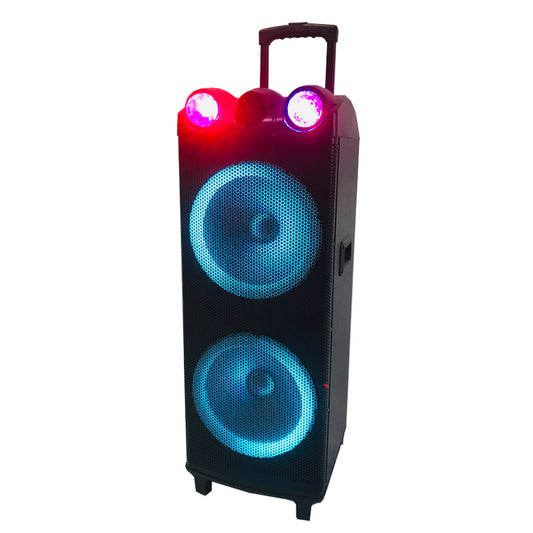 2X12" New Outdoor Trolley Subwoofer Stereo Rechargeable Karaoke Speaker