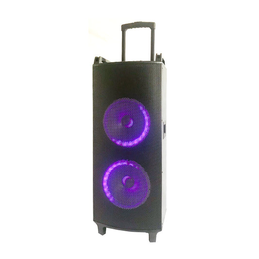 2×10"Cheap Battery Wood Trolley Speaker Karaoke system