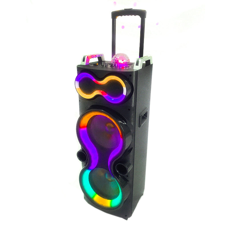 2X10"Outdoor Speaker Home Party Cart Audio DJ speaker with Colorful Lights