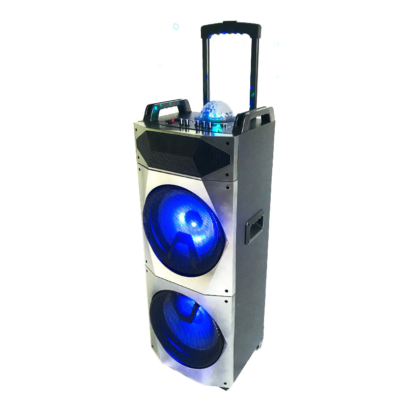 2×10"Wireless Outdoor bass rechargeable BT party speaker