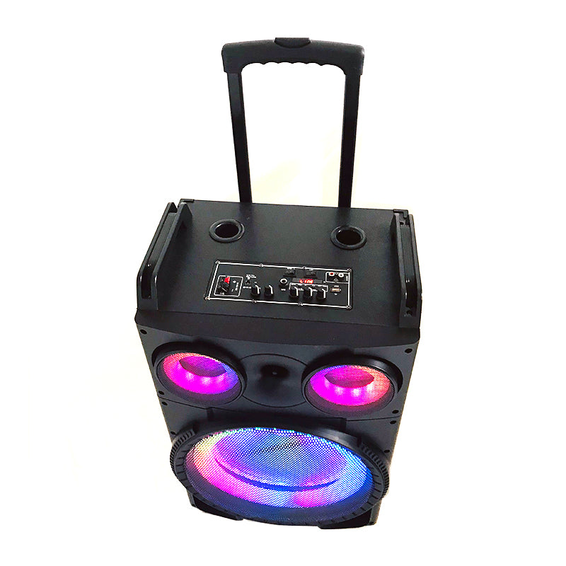 1X12" Outdoor Party DJ Public Speaker Rechargeable