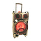 1X12" Outdoor Party DJ Waterproof Speaker