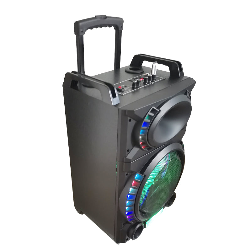 1X10" Trolley Amplifier Bluetooth Subwoofer Speaker