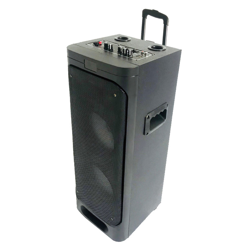 2X8" multifunction trolley speaker DJ party super sound speaker with fm