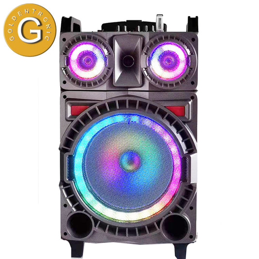 1X12" outdoor wireless woofer trolley speaker with microphone and super bass