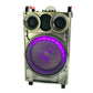 1X12" Outdoor Party Instrument Speaker with Microphone