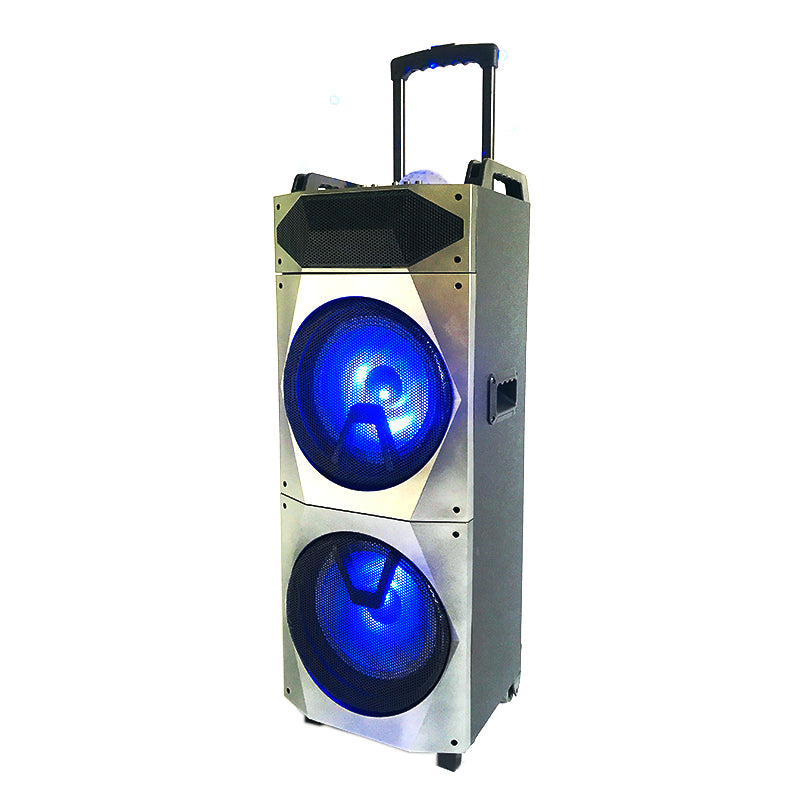 2×10"Wireless Outdoor bass rechargeable BT party speaker