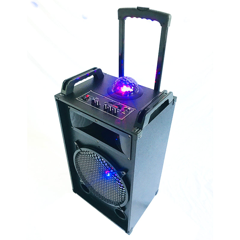 1X12" fashionable karaoke party loudspeaker with LED colorful flashing light