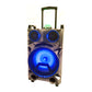 1X12" Outdoor Party DJ Waterproof Speaker