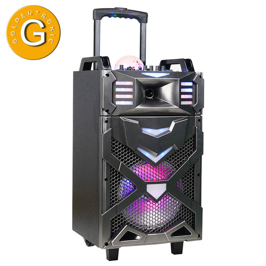 1X10" Trolley Party DJ Audio Speaker