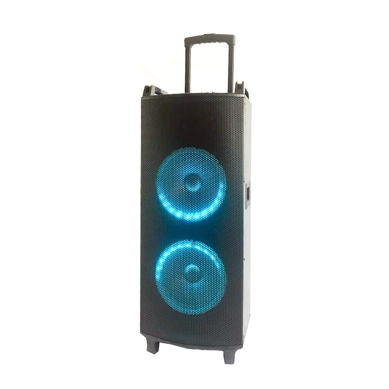 2×10"Cheap Battery Wood Trolley Speaker Karaoke system