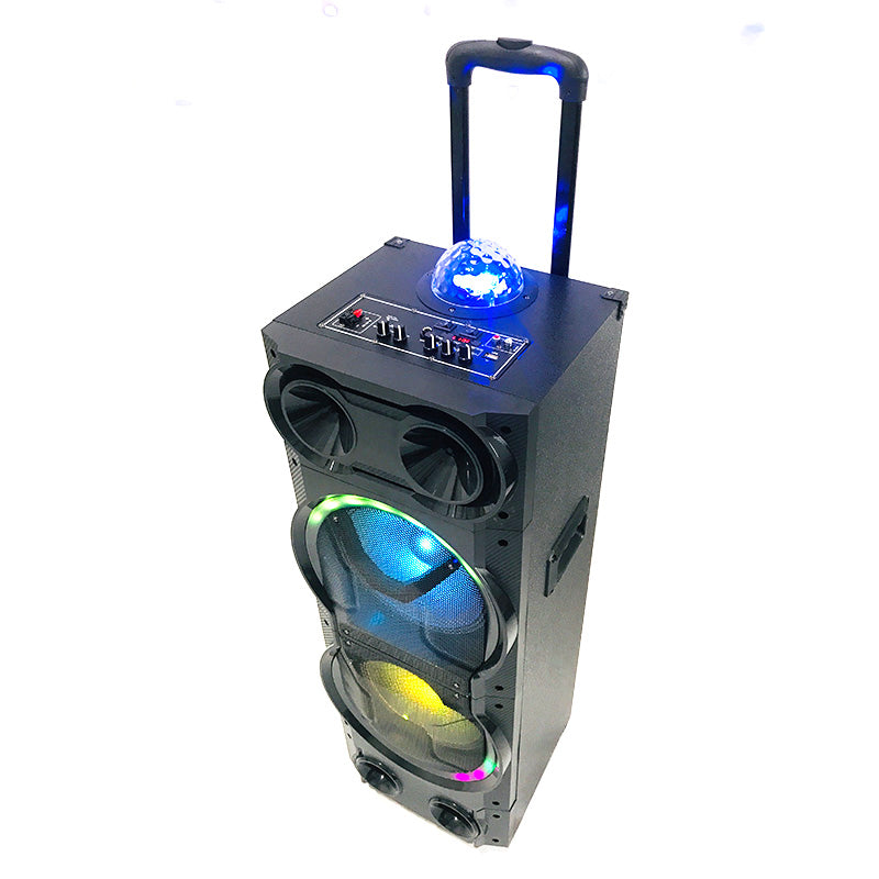 2X10" Portable Built-In Battery Karaoke Home Audio Speaker System