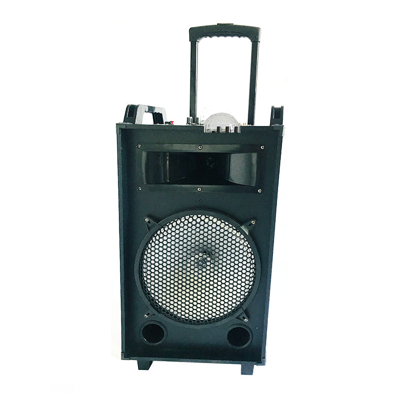 1X12" fashionable karaoke party loudspeaker with LED colorful flashing light