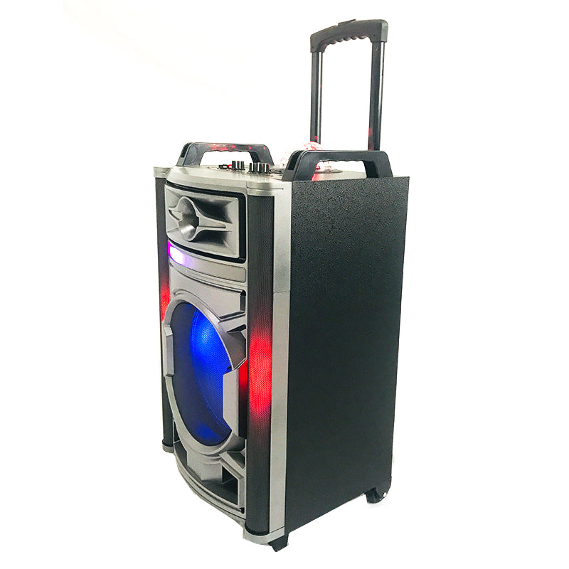 1X12" TWS Wireless Party Speaker