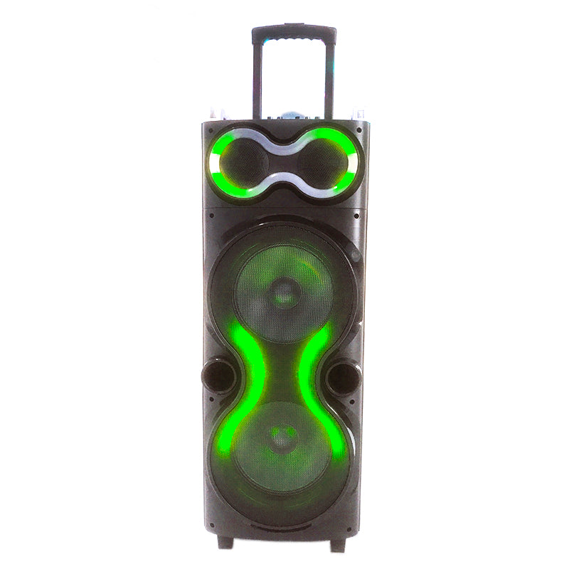 2X10"Outdoor Speaker Home Party Cart Audio DJ speaker with Colorful Lights