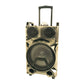 1X12" Outdoor Party DJ Waterproof Speaker