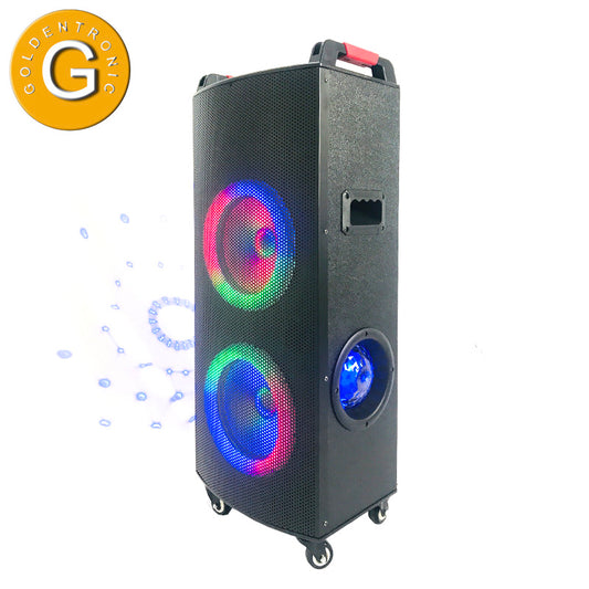 2X10" Amazon Factory Professional Speakers Guitar Wood Cabinet Big Indoor Furniture BT  Trolley PC Speaker Wooden