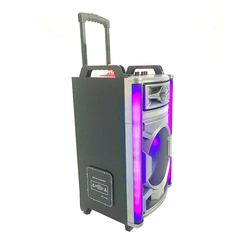 1X12" TWS Wireless Party Speaker