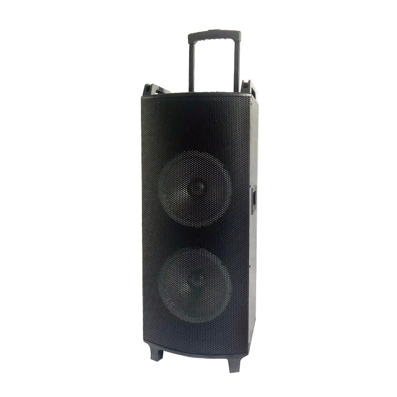 2×10"Cheap Battery Wood Trolley Speaker Karaoke system