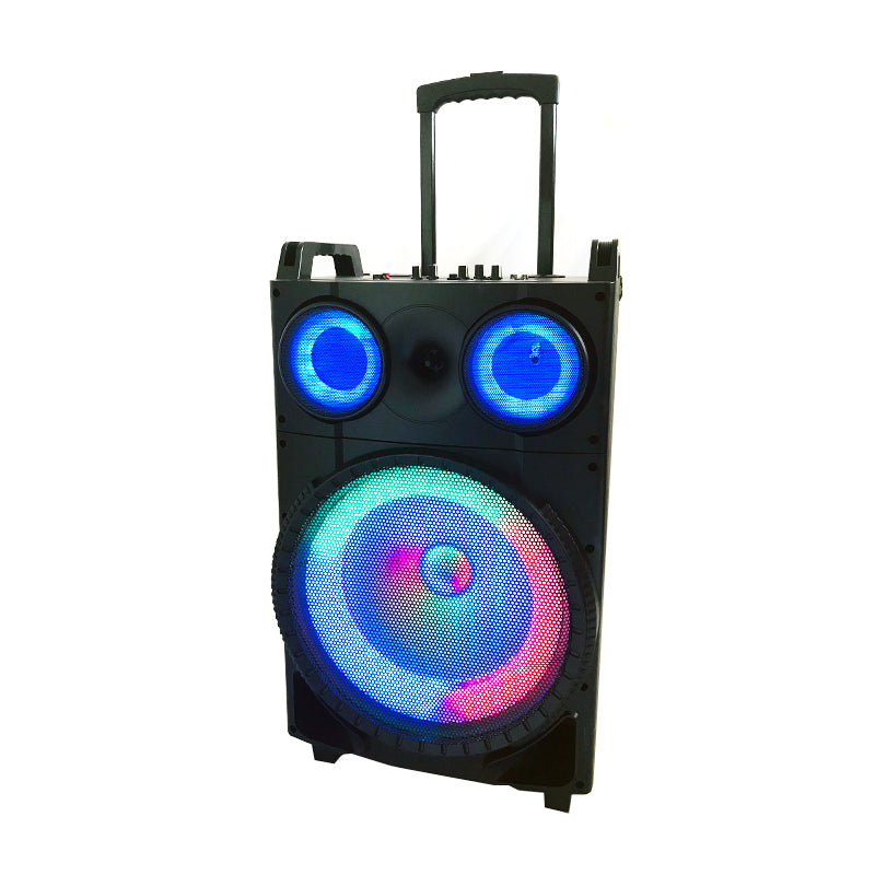 1X12" Outdoor Party DJ Public Speaker Rechargeable