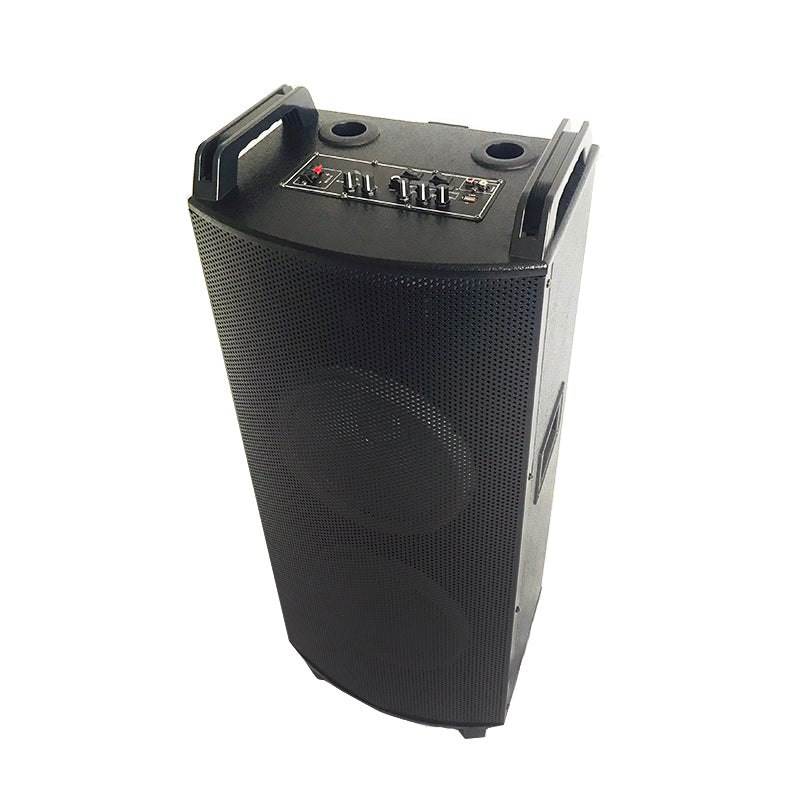 2×10"Cheap Battery Wood Trolley Speaker Karaoke system