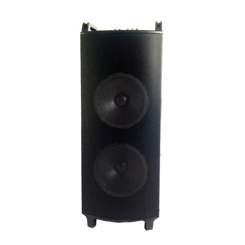 2×10"Cheap Battery Wood Trolley Speaker Karaoke system