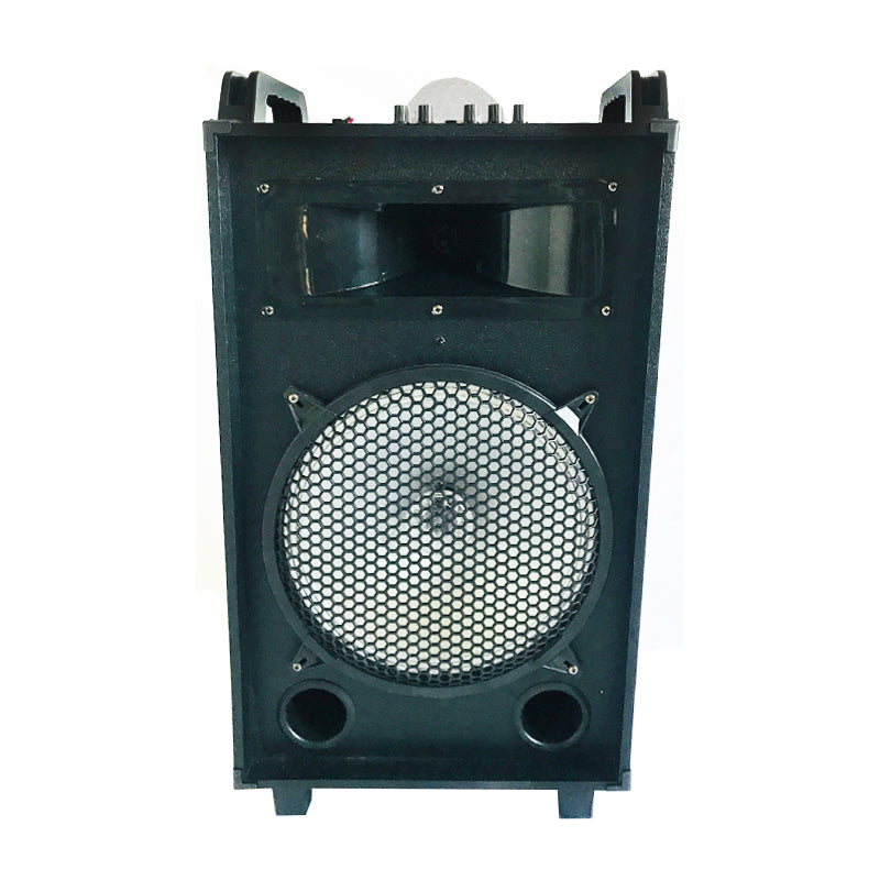 1X12" fashionable karaoke party loudspeaker with LED colorful flashing light