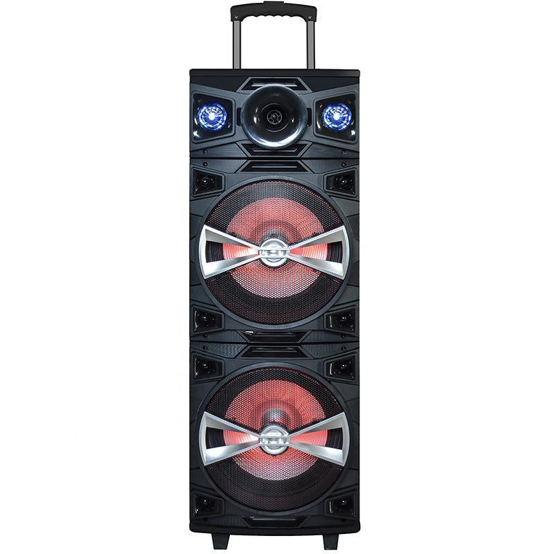 2X10" Led Light Control Tws Wireless Speakers Volume Usb 10 Inch Box Trolley with Mic Portable Speaker