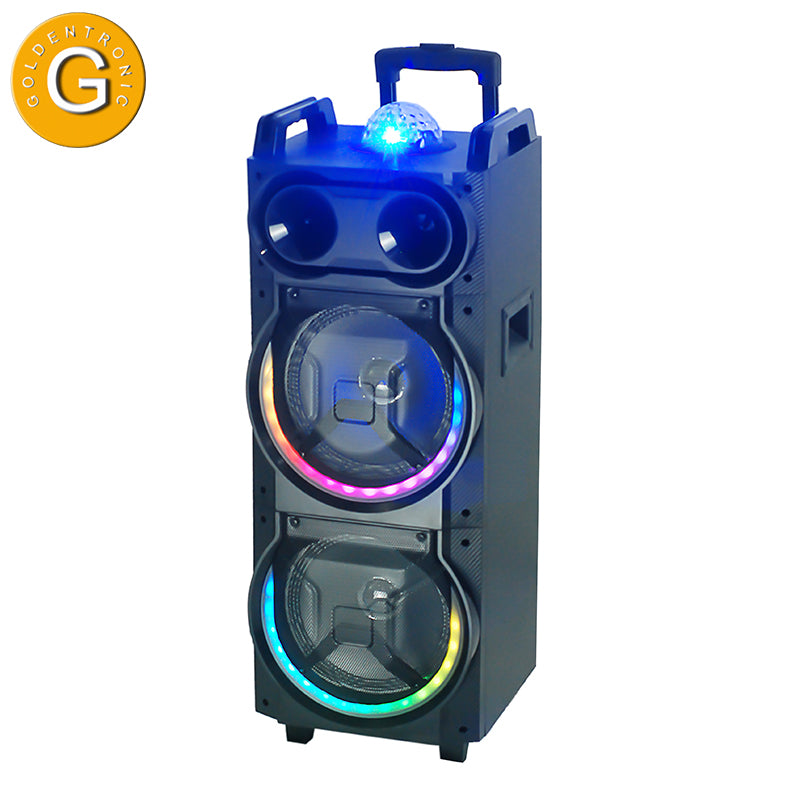 2X10" Wholesale 2022 Waterproof Loudspeaker Surround Outdoor Portable Wireless Speaker