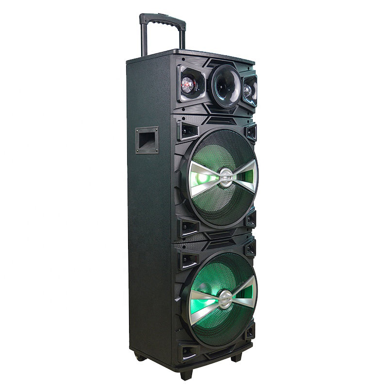 2X10" Led Light Control Tws Wireless Speakers Volume Usb 10 Inch Box Trolley with Mic Portable Speaker