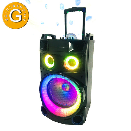 1X12" Rechargeable Wireless Party Speaker