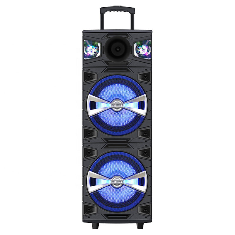 2X10" Led Light Control Tws Wireless Speakers Volume Usb 10 Inch Box Trolley with Mic Portable Speaker