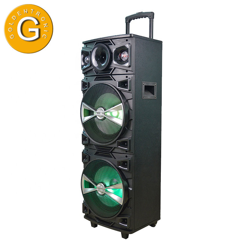 2X10" Led Light Control Tws Wireless Speakers Volume Usb 10 Inch Box Trolley with Mic Portable Speaker