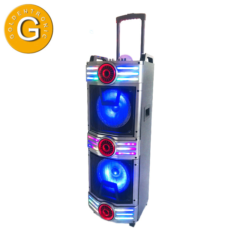 2X10" Hot salleing wireless dj speaker protble bass speaker for party with led light