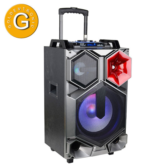 1X12" Powerful LED Party Alexa Speaker