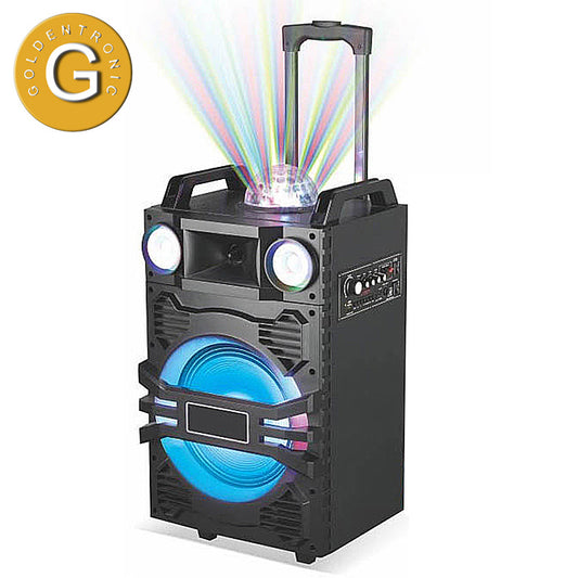 1X10" Trolley Party DJ Multimedia Speaker