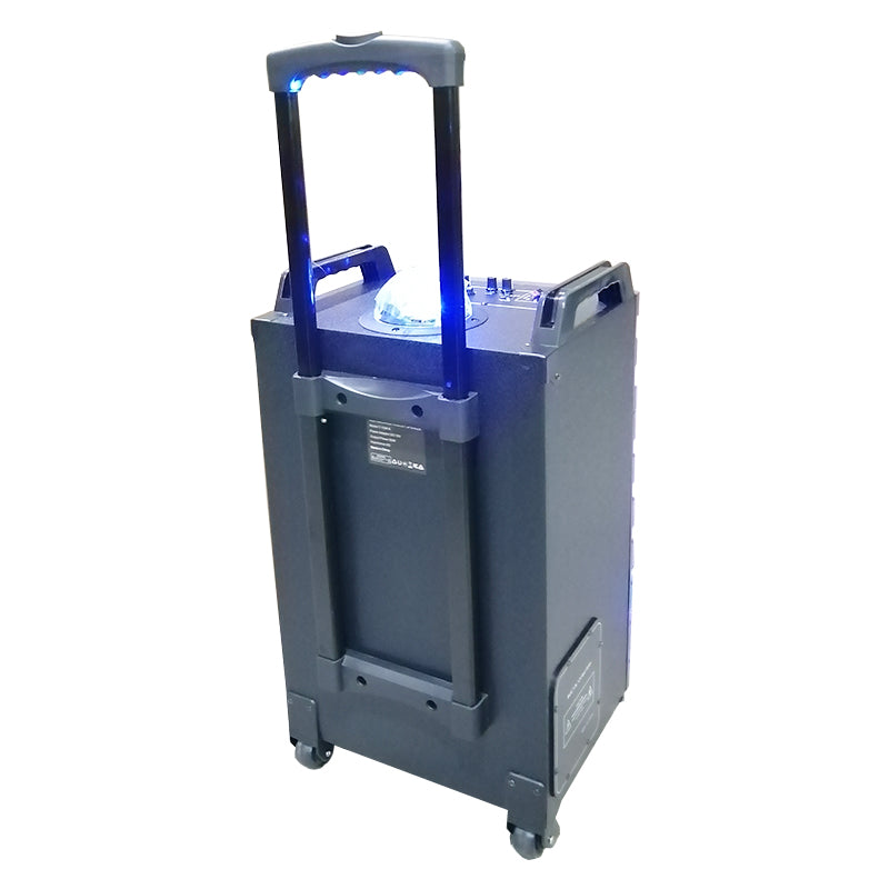 1X10" Trolley Ball Light Amplifier Loudspeaker