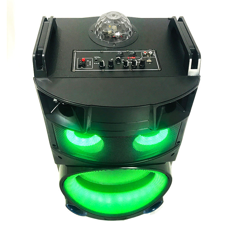 1X12" Rechargeable Wireless Party Speaker