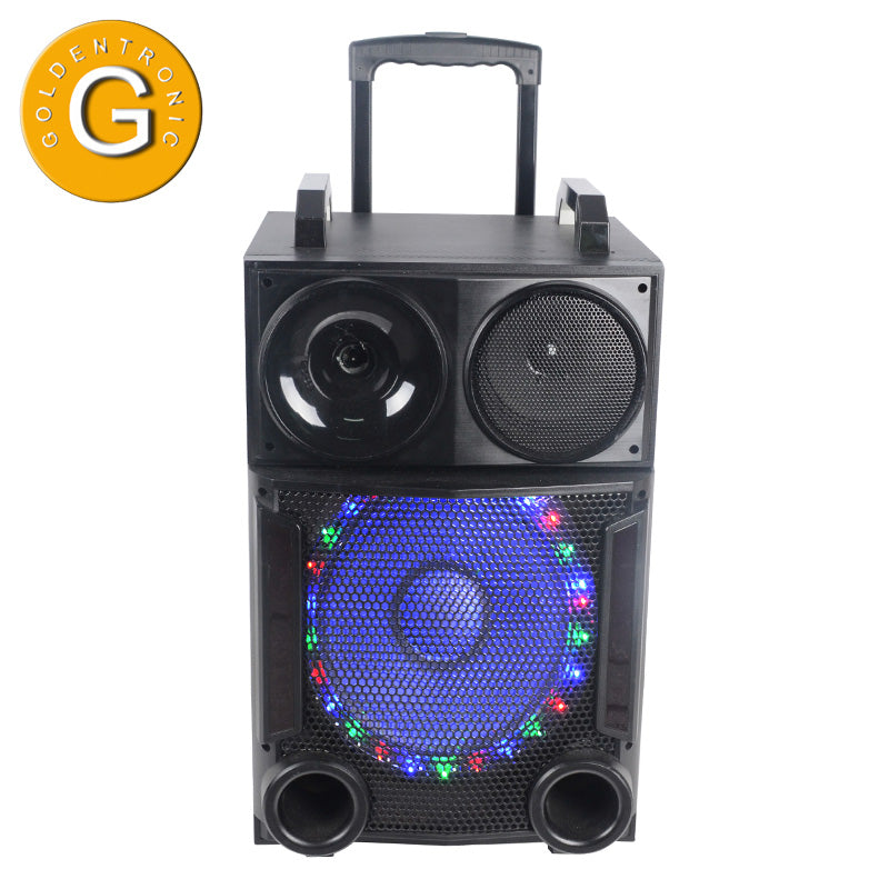 1X12" LED Outdoor Party Powered Speaker