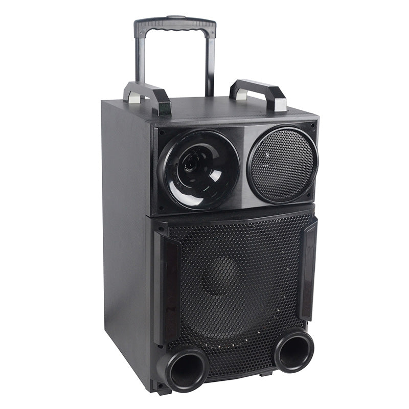 1X12" LED Outdoor Party Powered Speaker