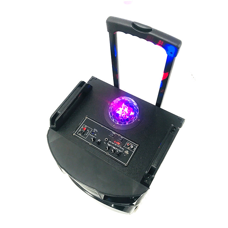 1X12" Rechargeable Wireless Party Speaker